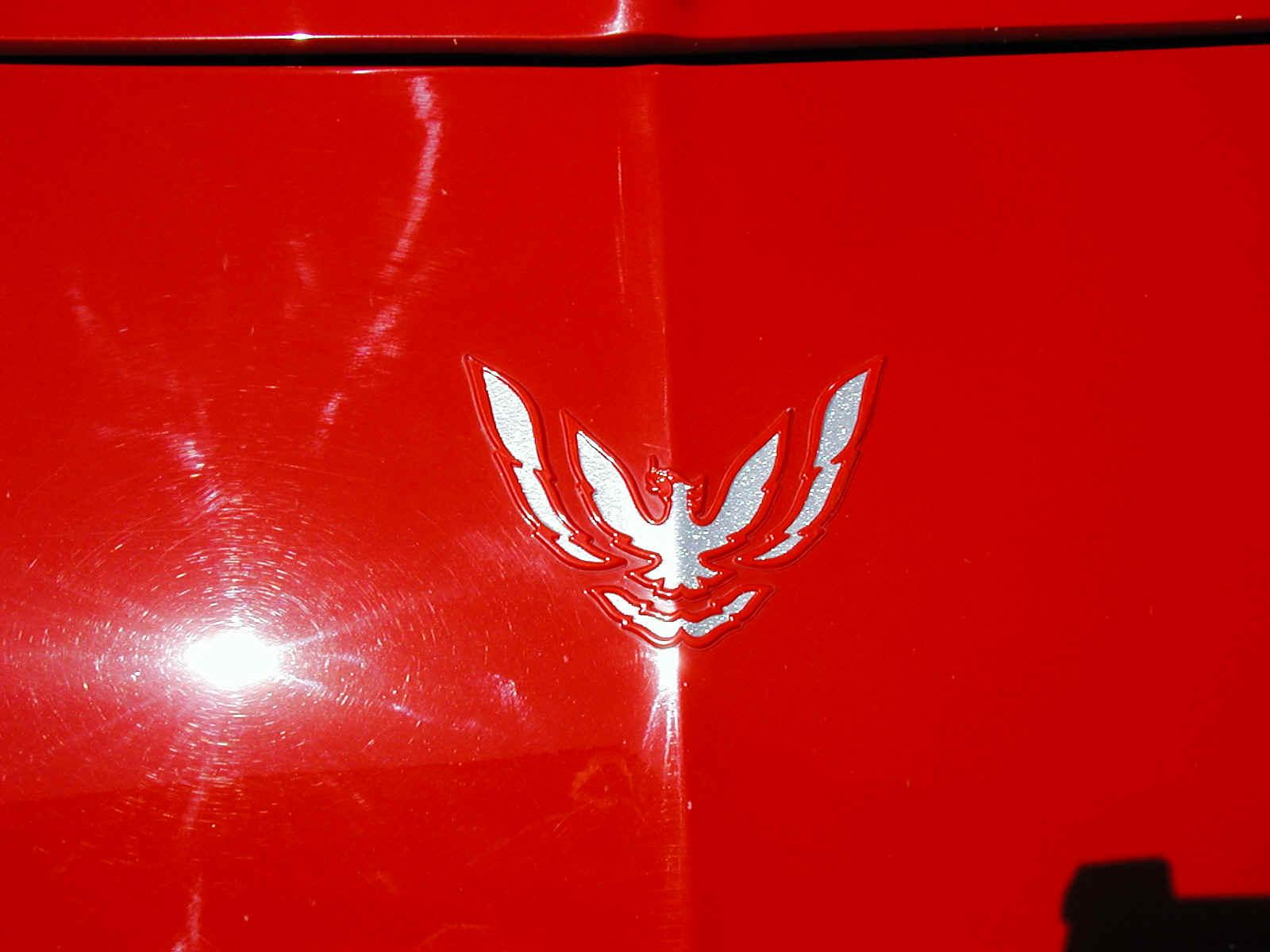 93-97 Front Firebird/Trans Am Bird Emblem Insert