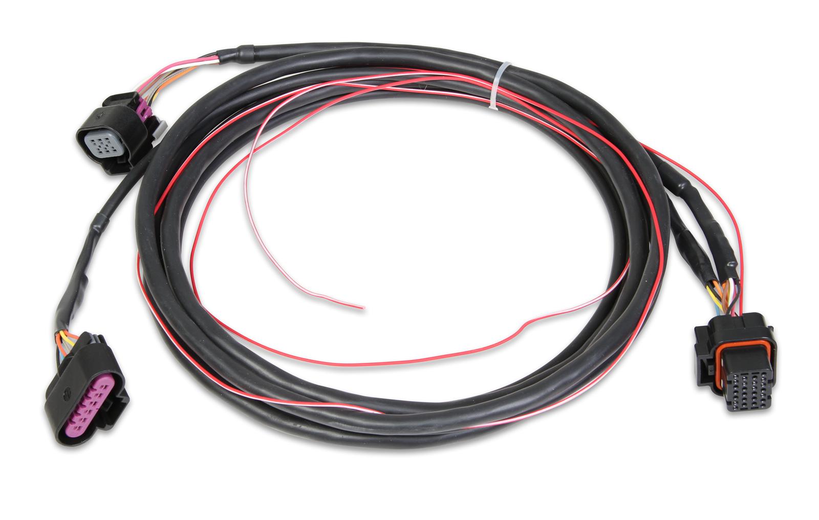 Holley EFI Systems Main Wiring Harness