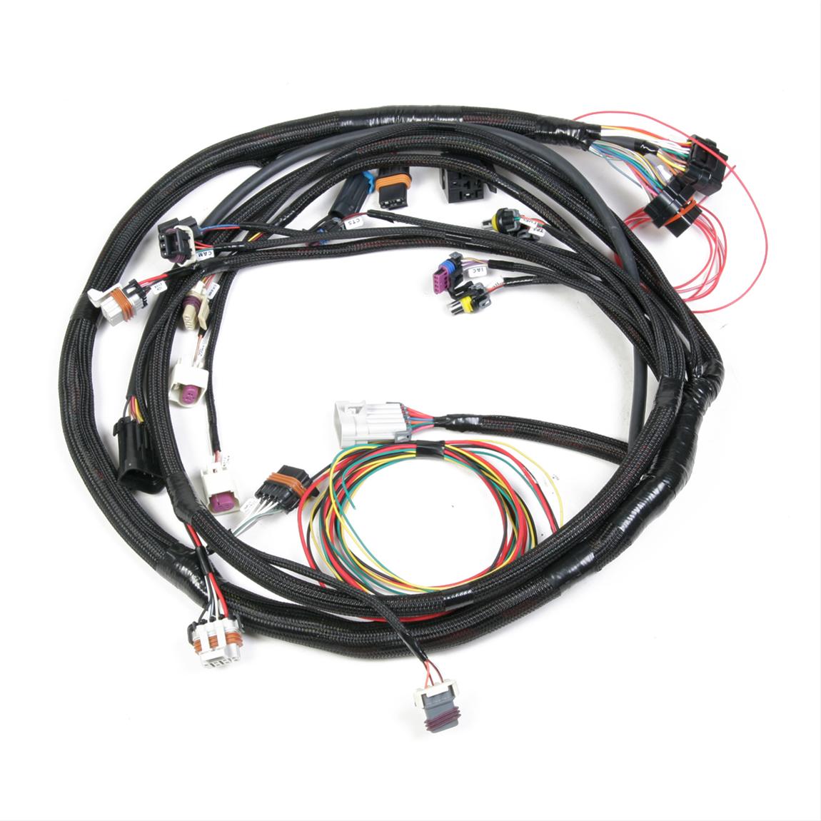 Holley EFI Systems Main Wiring Harness